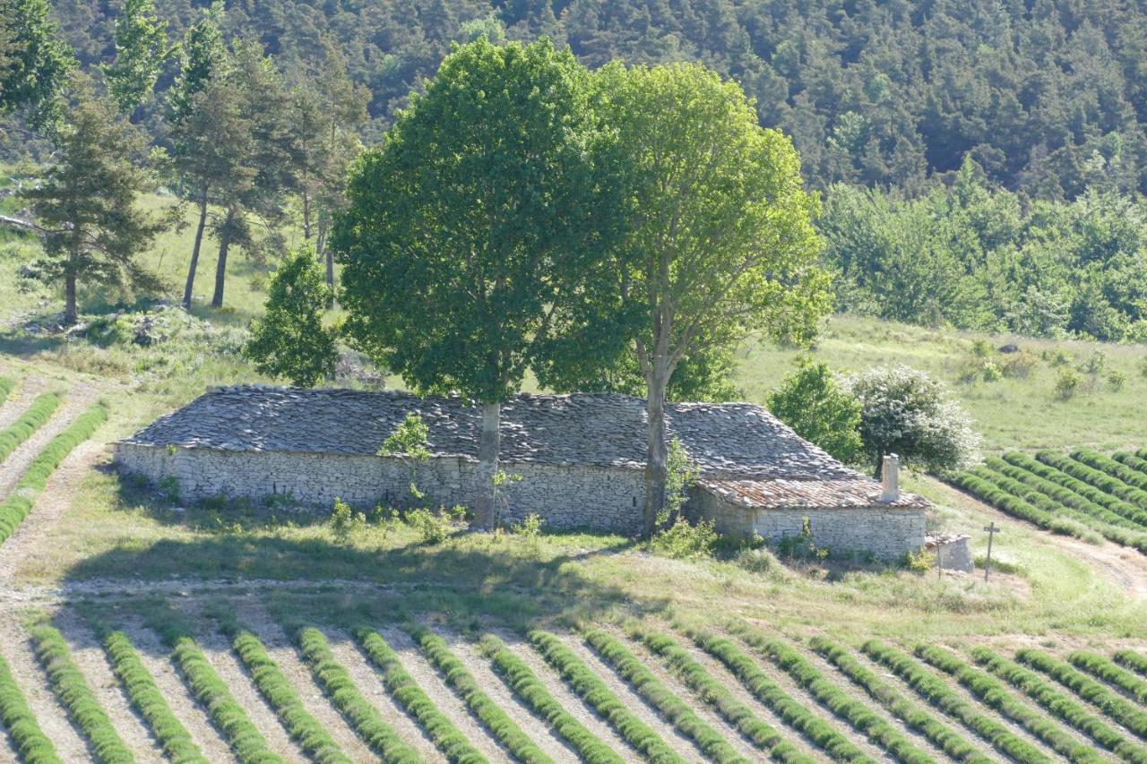 Les Bois Rouges Bed & Breakfast La Rochegiron ภายนอก รูปภาพ
